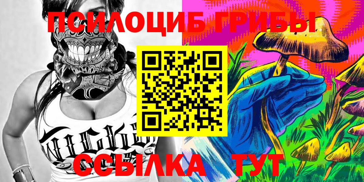 Псилоцибиновые грибы прущие грибы Красногорск