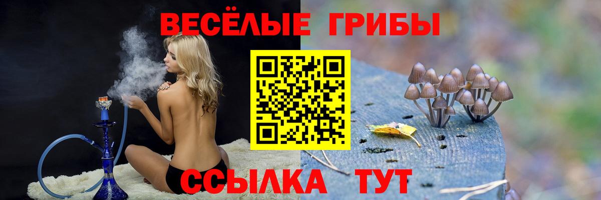 Галлюциногенные грибы Psilocybine cubensis  Вход с VPN  Красногорск 